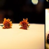 Pro Pics of the Fairy/Viking wedding!