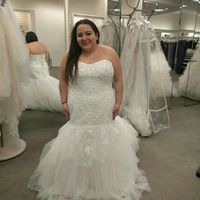 First round of trying out dresses.