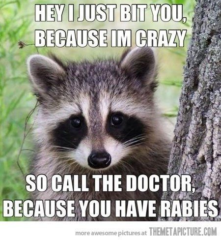 Why are there no Friday animal funnies?