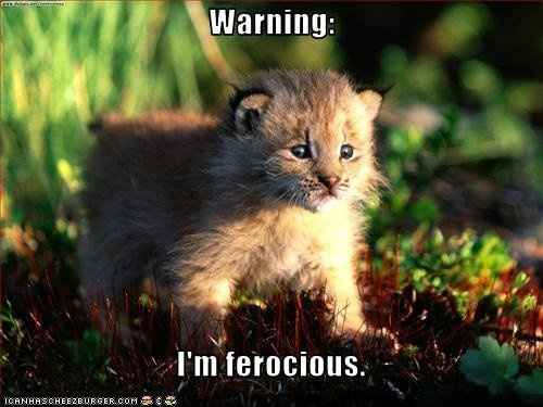 I keep seeing A YEAR AGO on WW was bad....