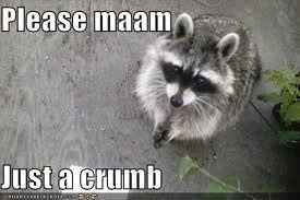 This is how I feel about wedding planning....