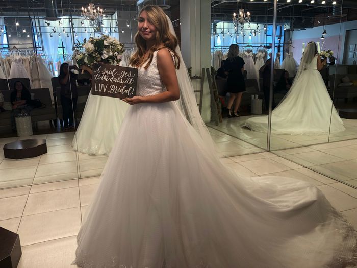 Dress Help! Please post your gowns!! - 1