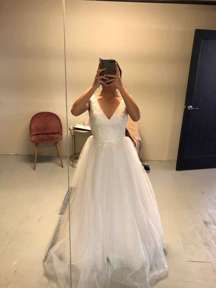 Belt or No Belt? - 1