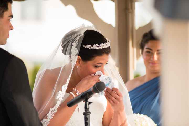 BAM-professional photos are in!