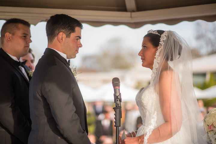 BAM-professional photos are in!