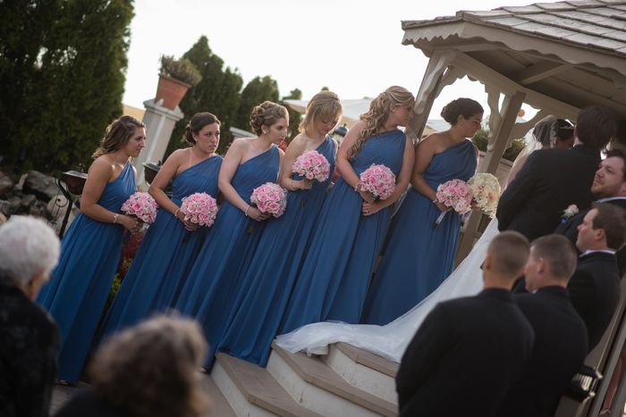BAM-professional photos are in!