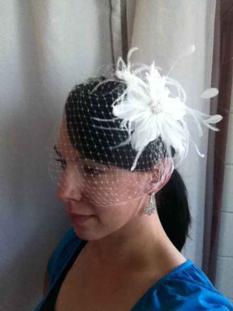Pics: Birdcage veil - what do you think of it on?