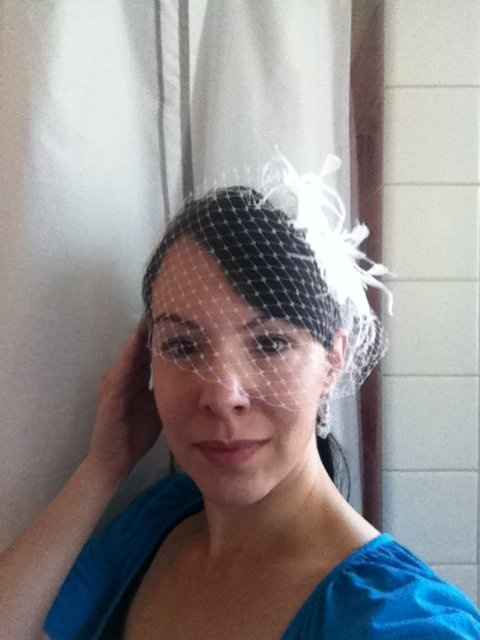 Pics: Birdcage veil - what do you think of it on?
