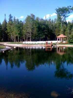 Strange things your FH insisted on!!!