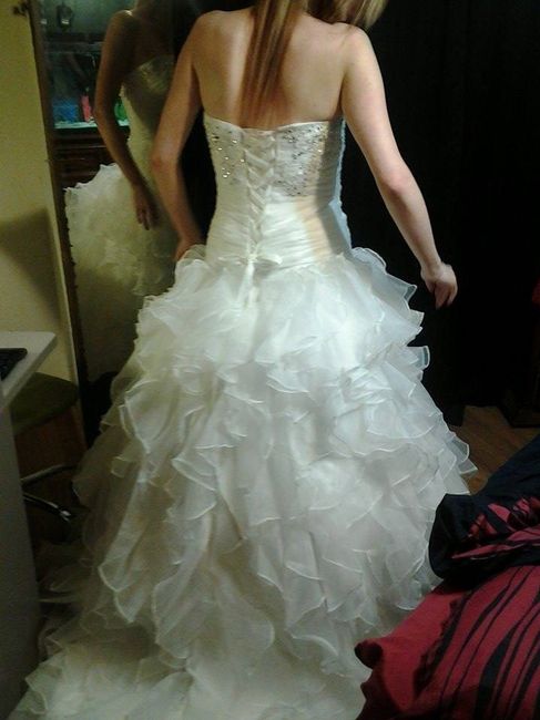 my dress came in last night!