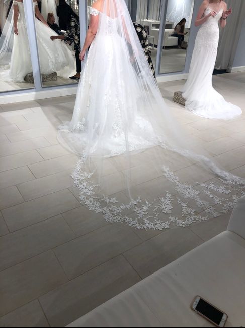 Cathedral length veil - 2