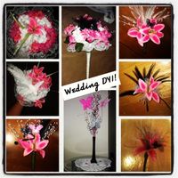 Lots Of Pictures Finally