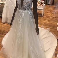 Deciding between two wedding dresses - 2