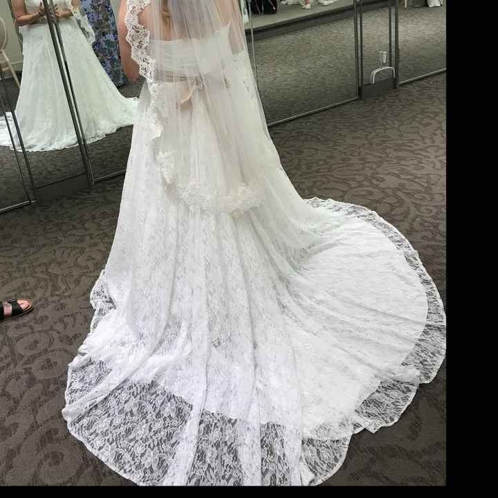 Picked Up My Wedding Dress - 2