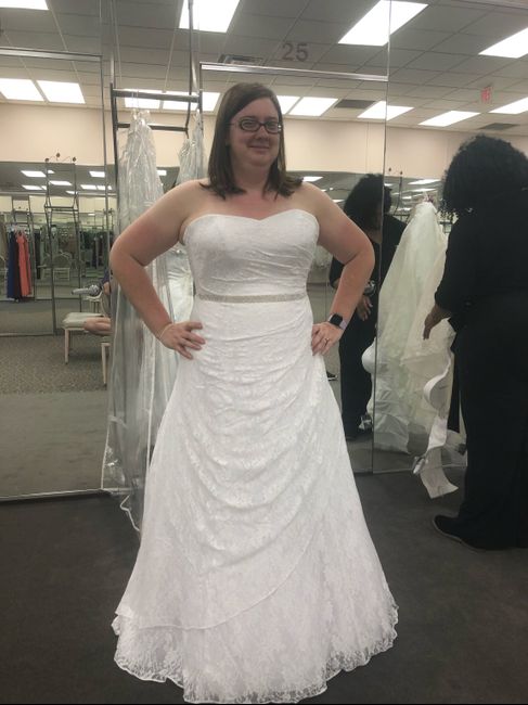 Wedding Dress - One or More? 1