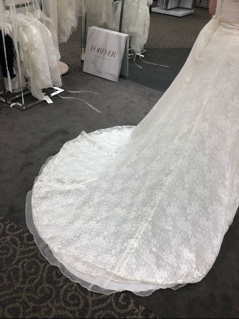 Wedding Dress - One or More? 2