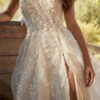 Finally picked my dress! 