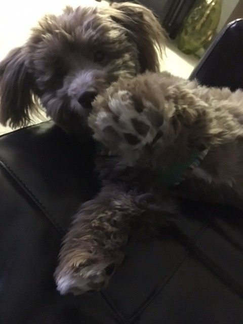 NWR: you and furbaby pic!