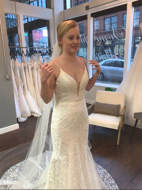 Dress Dilemma! Torn... 3