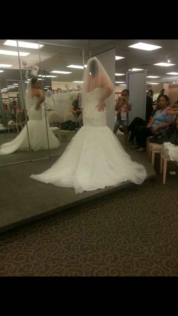 Sneak Peak of my Oleg Cassin dress