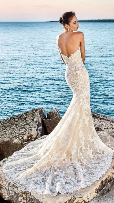 Back of Dress