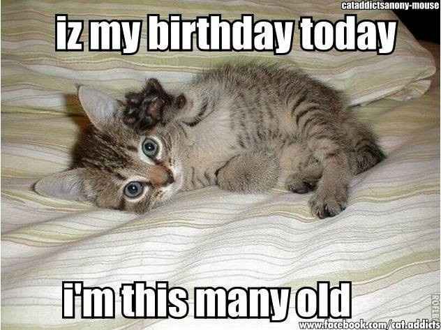 NWR: its  mah birthdayyyyyyyyyy