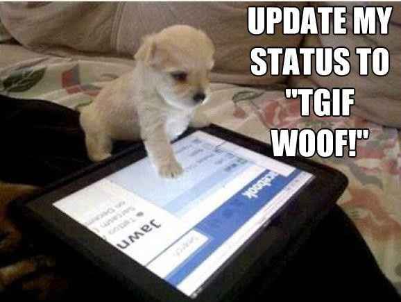 NWR: Emergency Cute