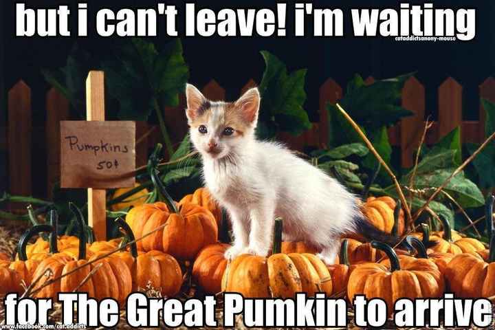 NWR Happy Halloween!