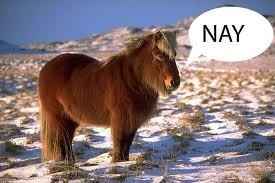 NWR - WW Username Game