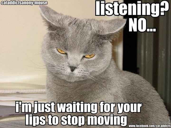 NWR:  Feline Friday :)