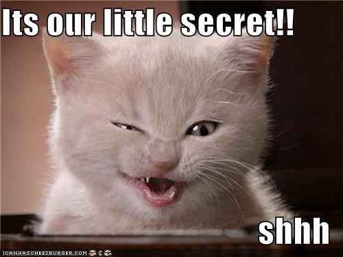 Emily S., Did I miss your BAM post?