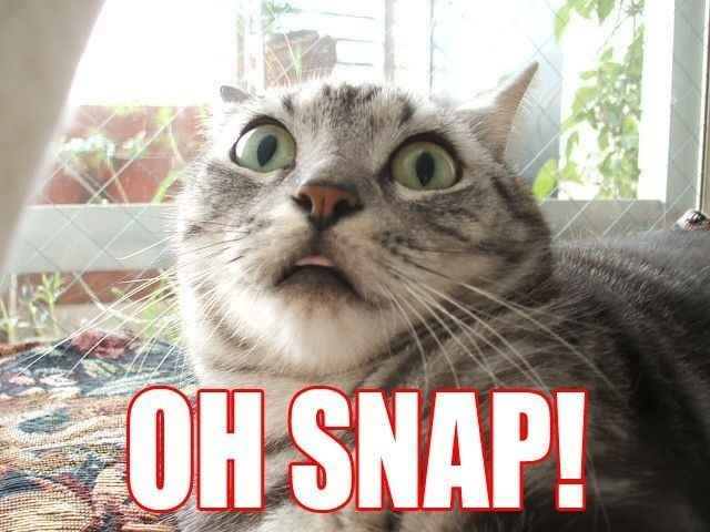 Feeling obligated to ask another BM into the bridal party