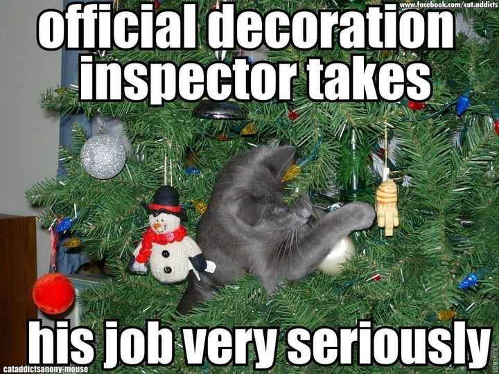 I need some meme love