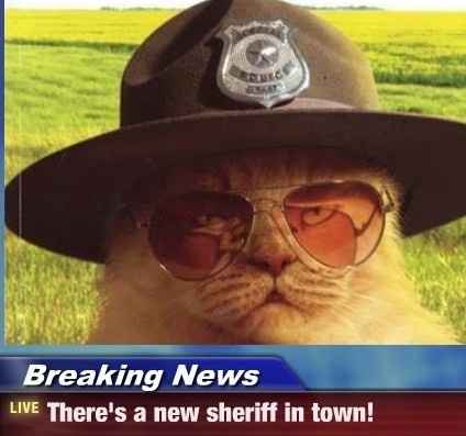 *SPECIAL ANNOUNCEMENT: Introducing WWKatie!*