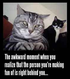 [grumble grumble] Posts asking us to guess