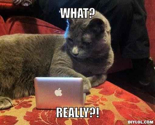 How did every stray pube in the house end up stuck to my wedding gown?