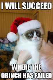 NWR: Holiday Cat Time :)