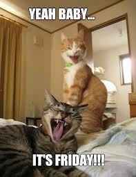 NWR:  Feline Friday :)