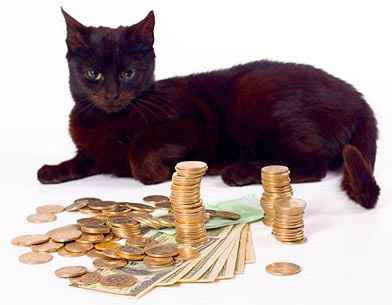 Payments, Payments and More Payments