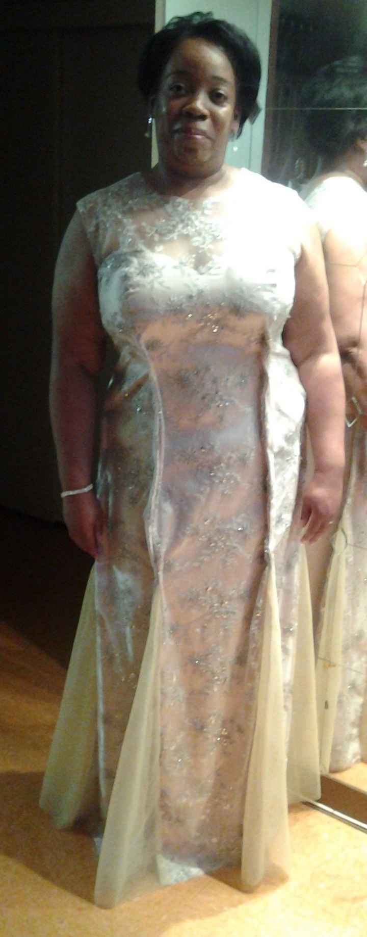 Dress Fitting Was Last Night! (pics included)