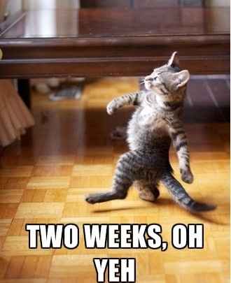 Two Weeks From Today :)