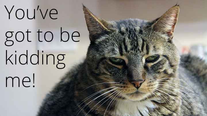 We are not your *bleeping* assistants!
