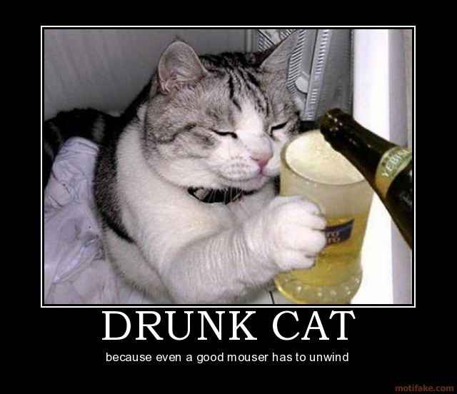 NWR: Drunk Meme Time