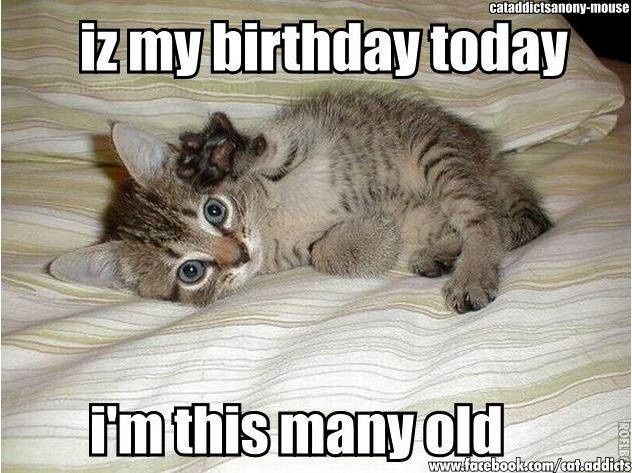 NWR: its  mah birthdayyyyyyyyyy