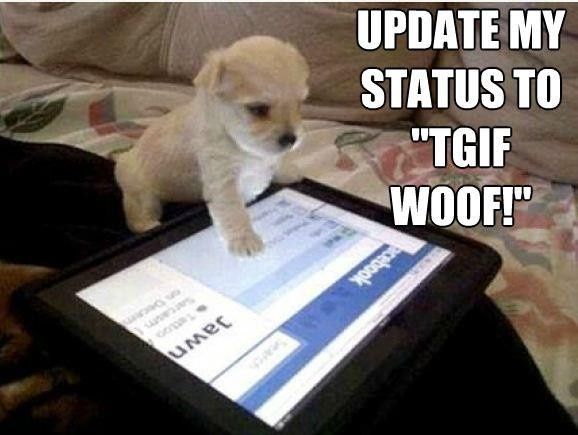 NWR: Emergency Cute