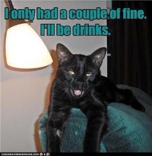 KWR: Drunk Kitty