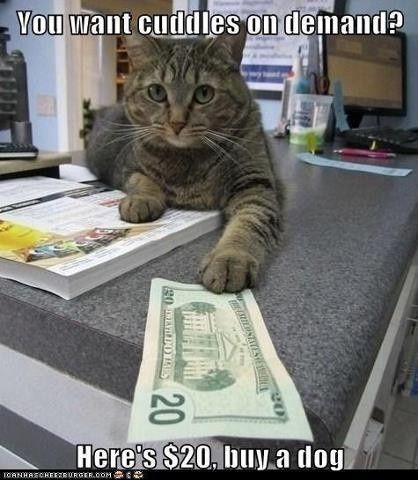 Obligatory Cat Thread