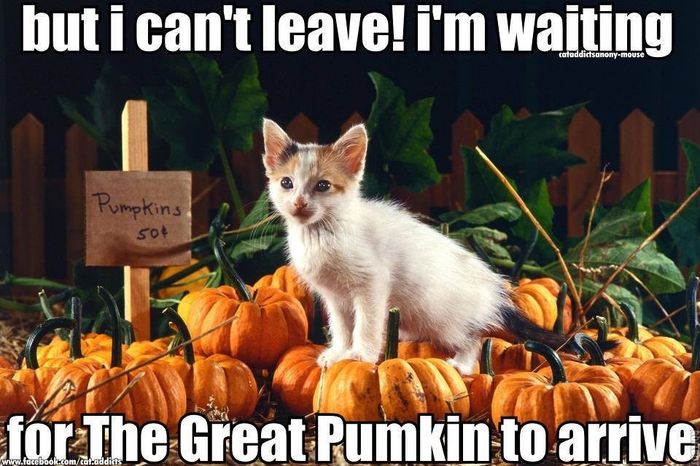 NWR Happy Halloween!
