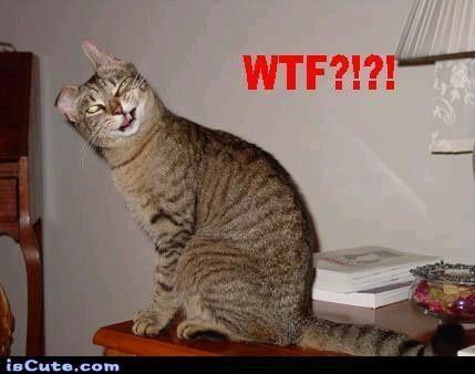 1 less bridesmaid =/