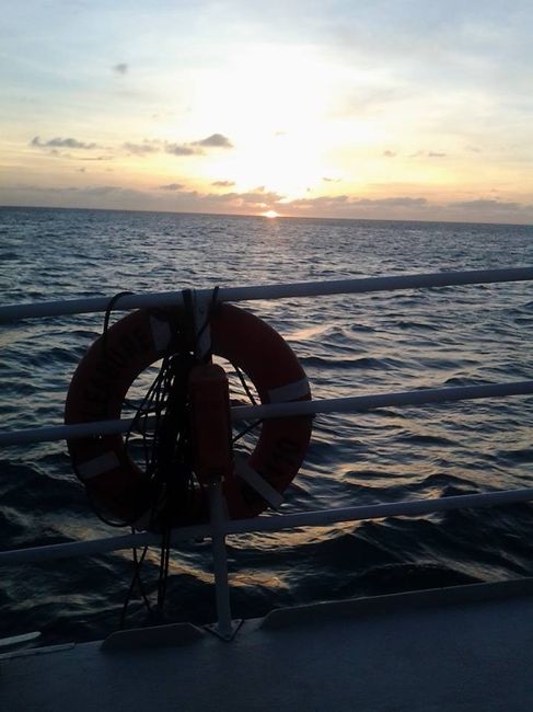 Aruba Arriba - Second Honeymoon (Pic Heavy) - **Few more pics added**